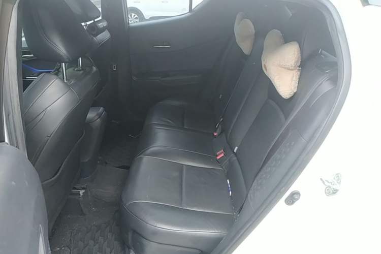Used Toyota IZOA 2020 2.0L Yichi Version Left Rear Seat