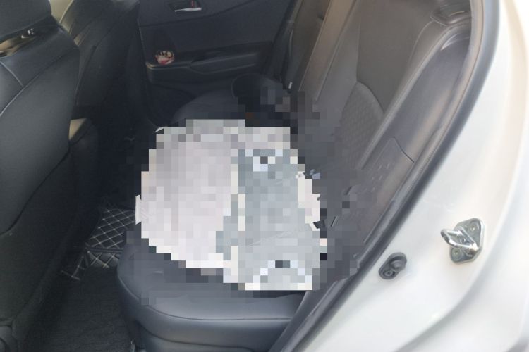 Used Toyota IZOA 2020 2.0L Yichi Version Left Rear Seat