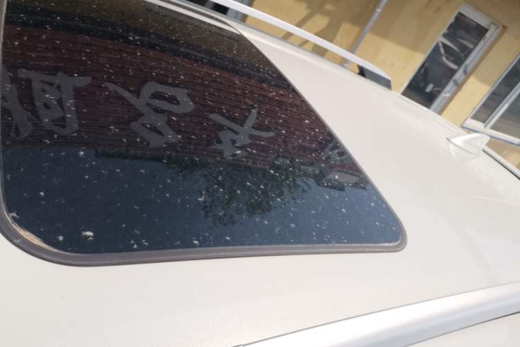Used Toyota IZOA 2020 2.0L Enjoy Edition Roof