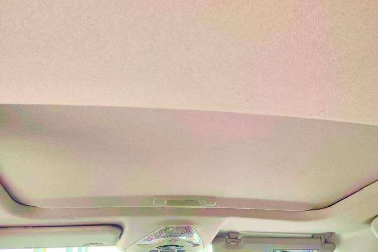 Used Toyota IZOA 2021 Dual-Motor 2.0L Yichi Edition Headliner