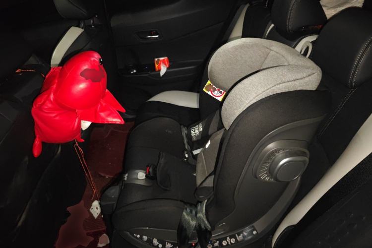 Used Toyota IZOA 2021 2.0L Yichi SPORT Left Rear Seat