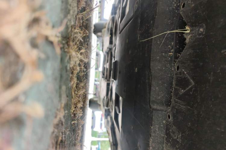 Used Toyota IZOA 2021 2.0L Enjoy Edition Chassis Front