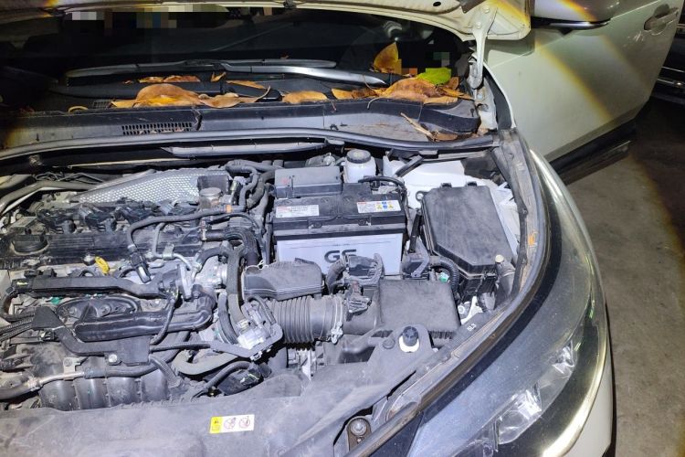 Used Toyota IZOA 2021 2.0L Enjoy Edition Engine Bay Left