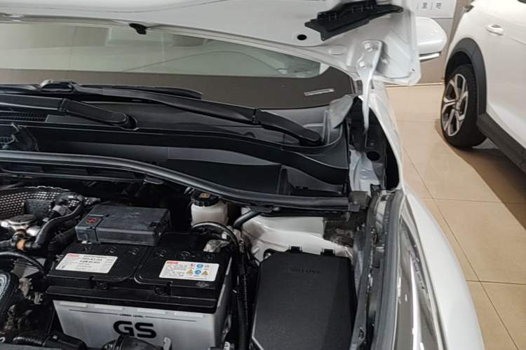 Used Toyota IZOA 2021 2.0L Yichi Version Engine Bay Left