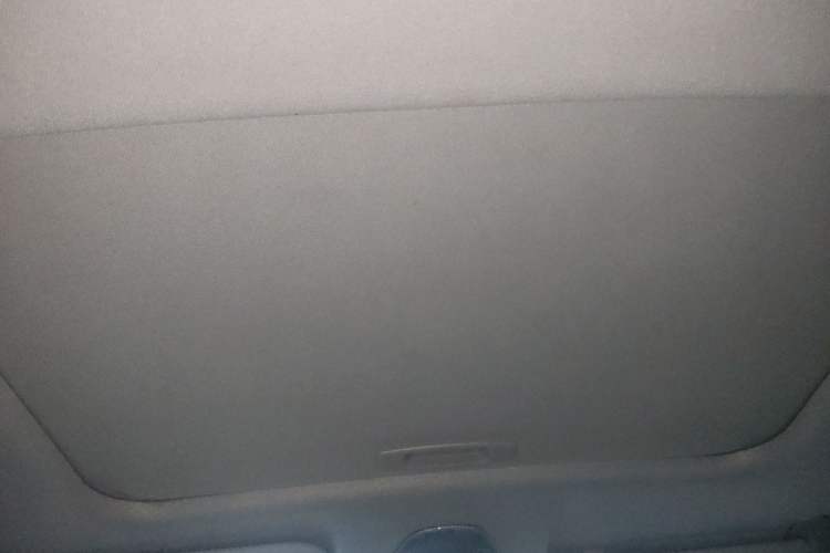 Used Toyota IZOA 2021 2.0L Enjoy Edition Headliner