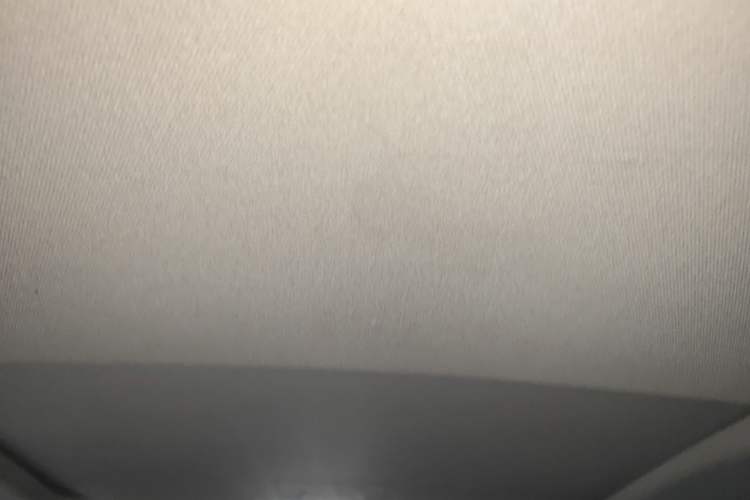 Used Toyota IZOA 2021 Dual-Motor 2.0L Yixiang Edition Headliner
