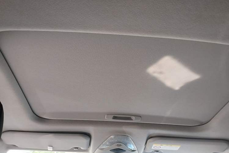 Used Toyota IZOA 2021 Dual-Motor 2.0L Yixiang Edition Headliner