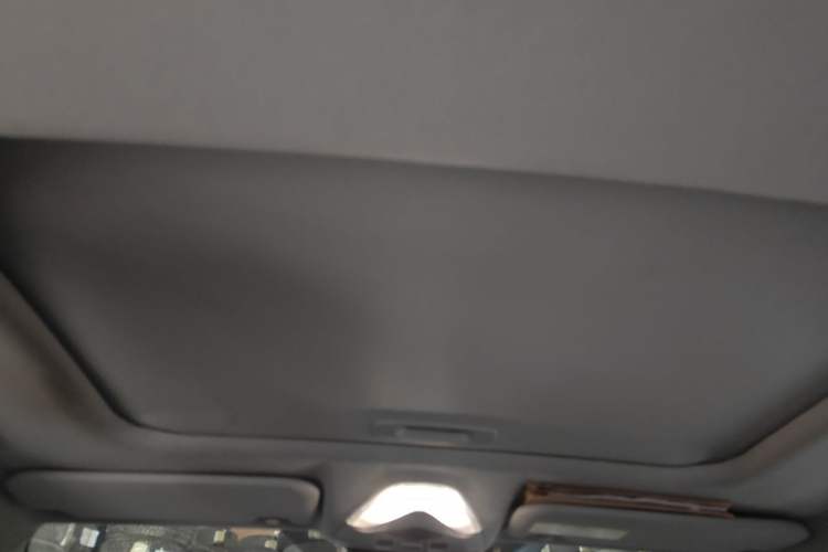 Used Toyota IZOA 2021 Dual-Motor 2.0L Yichi Edition Headliner
