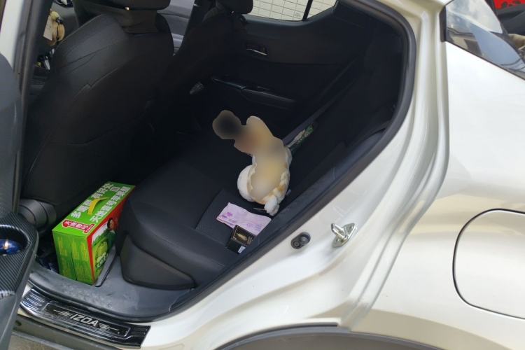Used Toyota IZOA 2021 2.0L Yixing Version Left Rear Seat