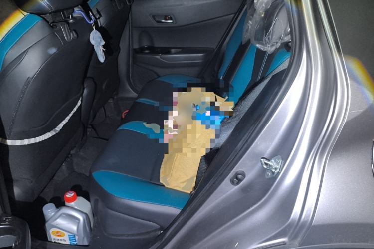 Used Toyota IZOA 2022 2.0L Yixiang CARE Edition Left Rear Seat