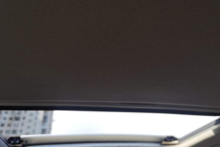 Used Toyota IZOA 2023 2.0L 20th Anniversary Platinum Edition Headliner