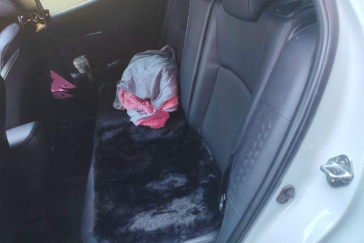 Used Toyota IZOA 2023 Dual-Motor 2.0L Yichi Edition Interior 4