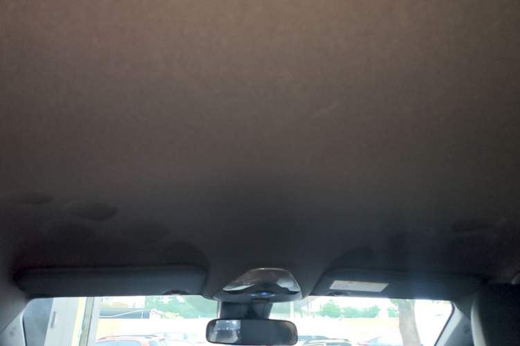 Used Toyota IZOA EV 2020 E·Smart Edition Headliner