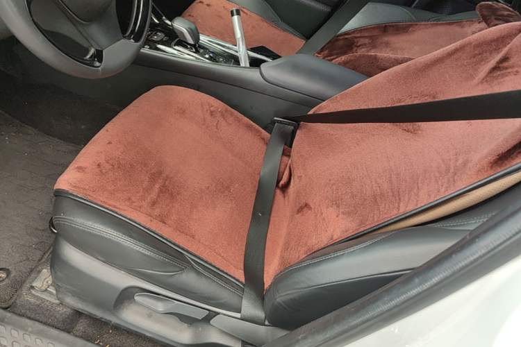 Used Toyota IZOA EV 2020 E·Smart Edition Left Front Seat