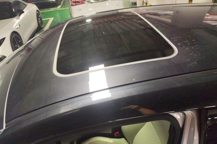 Used Toyota IZOA EV 2020 E·Elite Edition Roof