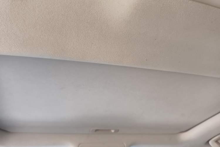 Used Toyota Land Cruiser 2010 4.7L Automatic VX Headliner