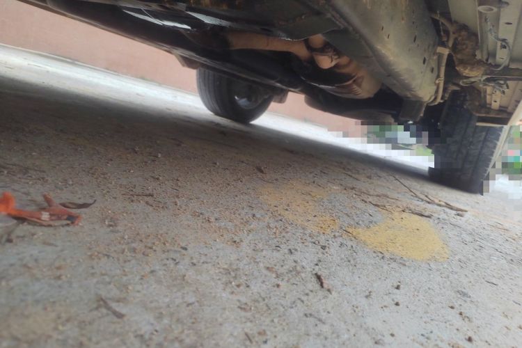 Used Toyota Land Cruiser  Chassis Front Left