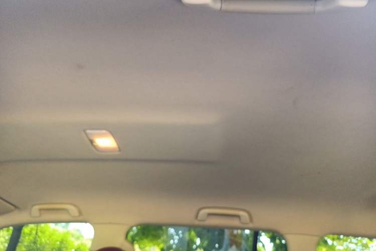 Used Toyota Land Cruiser  Headliner