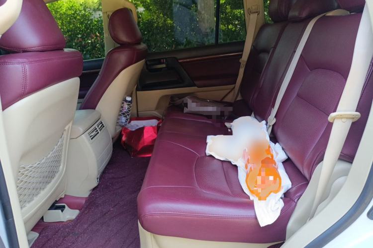 Used Toyota Land Cruiser  Left Rear Seat