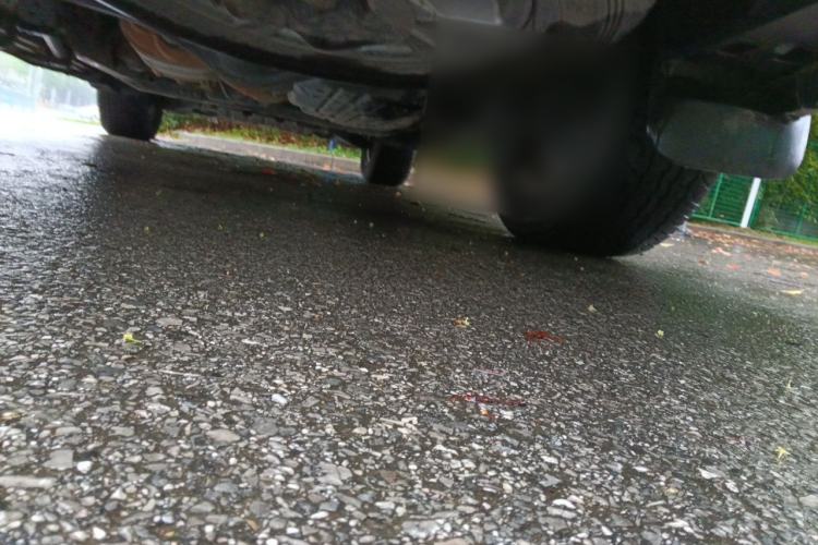 Used Toyota Land Cruiser  Chassis Rear