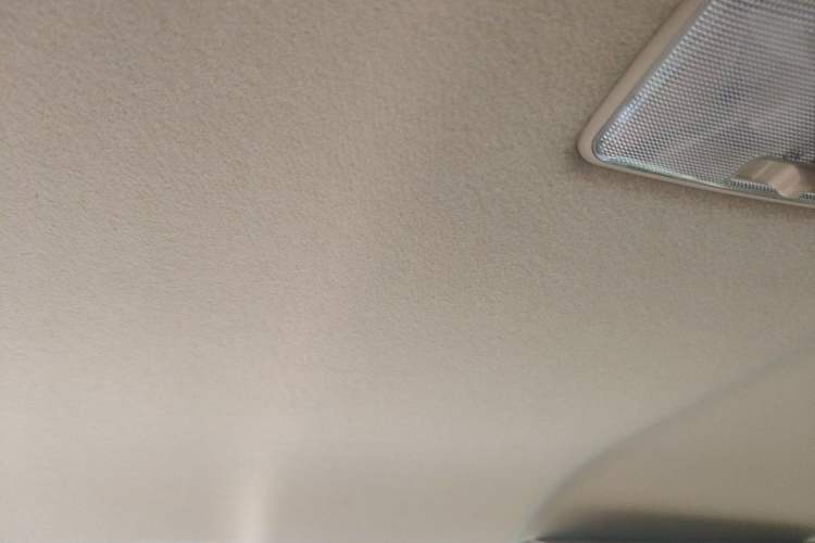 Used Toyota Land Cruiser  Headliner