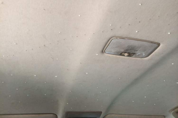 Used Toyota Land Cruiser  Headliner