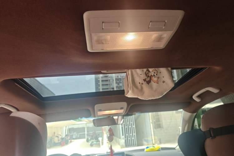 Used Toyota Land Cruiser  Headliner
