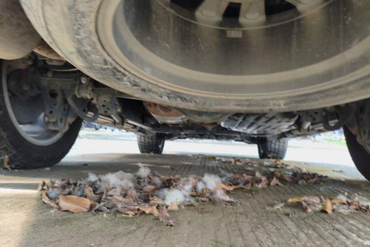 Used Toyota Land Cruiser  Chassis Rear