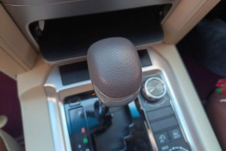 Used Toyota Land Cruiser 2019 4.0L Iron Wheels Refrigerator with Electric Base Basic Version—Middle East Gear Lever