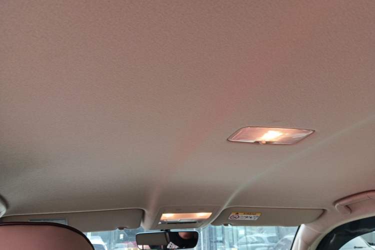 Used Toyota Land Cruiser  Headliner