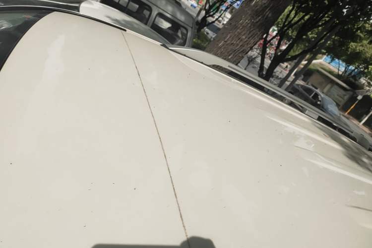 Used Toyota Land Cruiser 2019 4.0L 7-Seater Automatic Transmission Middle East Version Roof