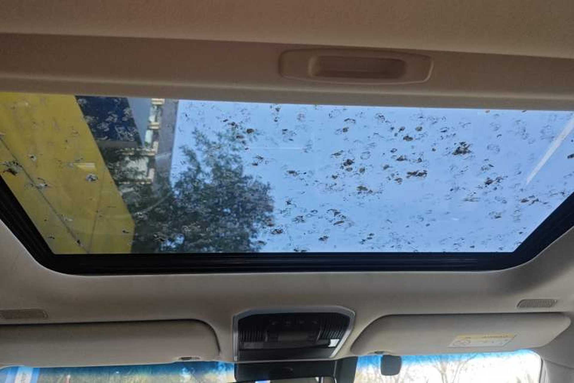 Used Toyota Land Cruiser  Headliner