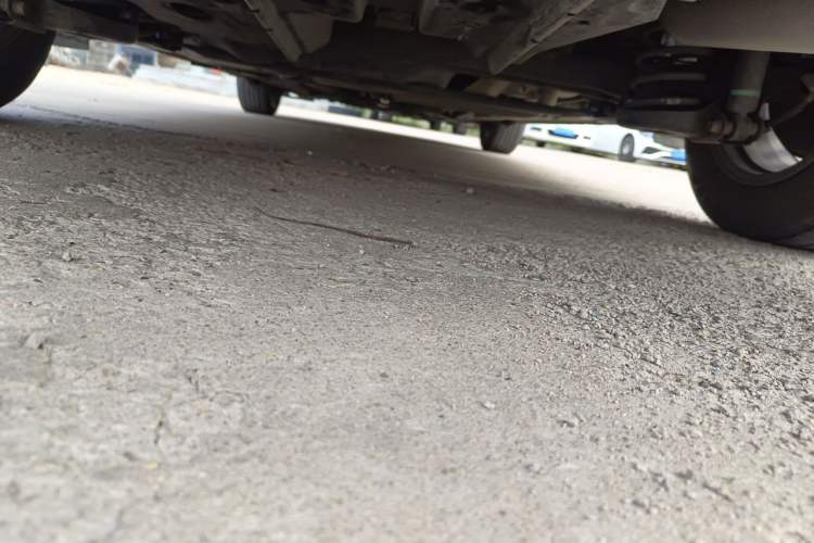 Used Toyota Levin 2014 1.6G CVT Elite Edition Chassis Rear