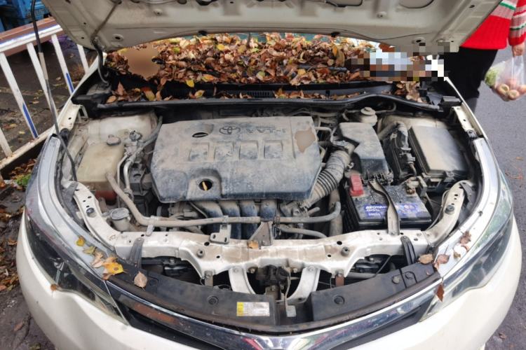 Used Toyota Levin 2014 1.6G CVT Elite Edition Engine Bay