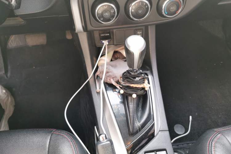 Used Toyota Levin 2017 Revised Version 185T CVT Elite Edition China VI Standard Gear Lever