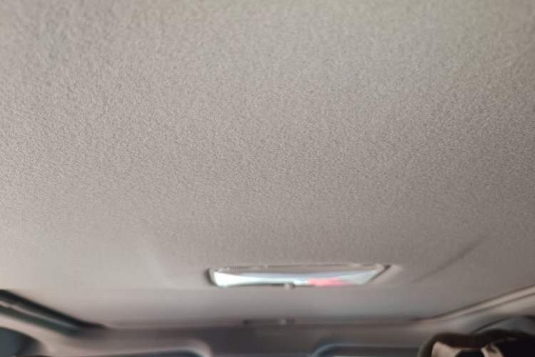 Used Toyota Levin 2017 1.2T G CVT Elite Edition Headliner
