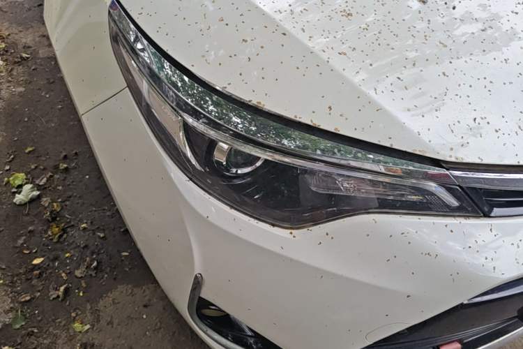 Used Toyota Levin 2017 Revised 185T CVT Elite Edition China V Standard Right Front Headlight