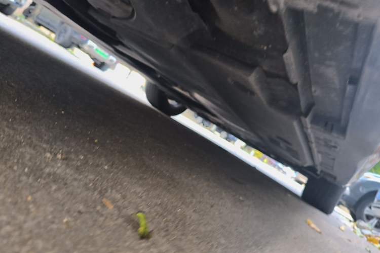 Used Toyota Levin 2019 185T CVT Luxury Edition China VI Standard Chassis Rear Right