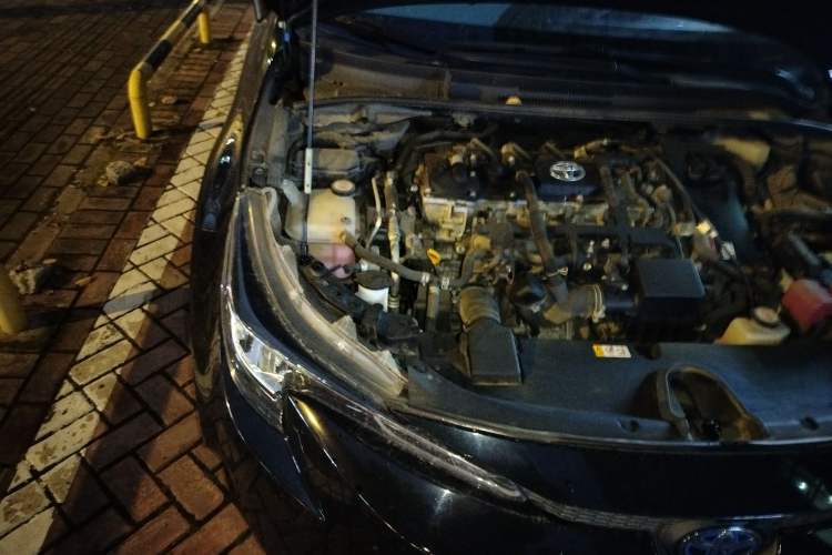 Used Toyota Levin 2019 Dual-Engine 1.8H E-CVT Luxury Edition China V Standard Engine Bay Right