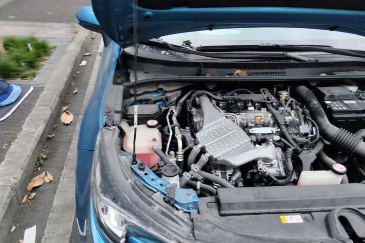 Used Toyota Levin 2019 185T CVT Luxury Edition China VI Standard Engine Bay Right