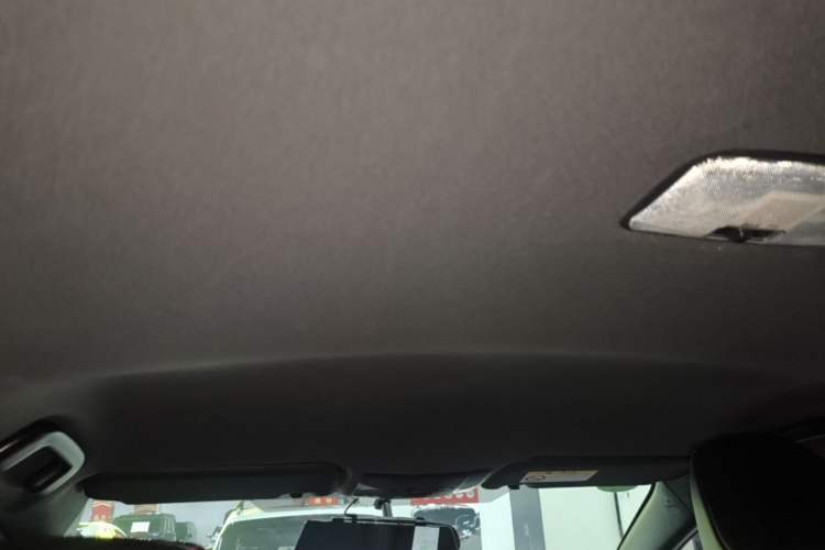 Used Toyota Levin 2019 185T CVT Entry-Level Version China VI Standard Headliner