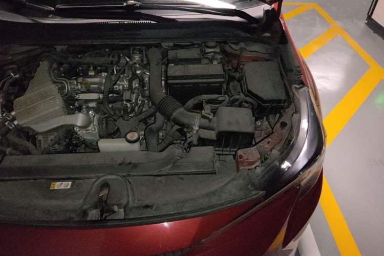 Used Toyota Levin 2019 185T CVT Luxury Edition China VI Standard Engine Bay Left