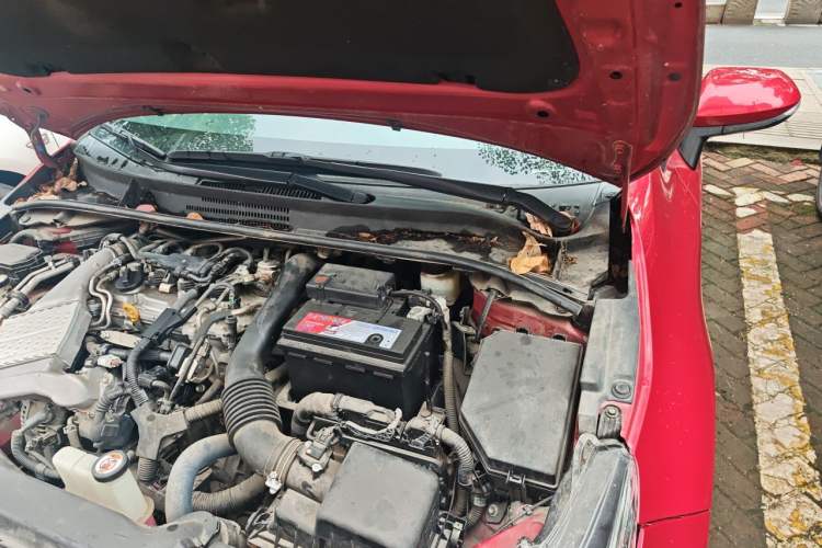 Used Toyota Levin 2019 185T CVT Luxury Edition China VI Standard Engine Bay Left