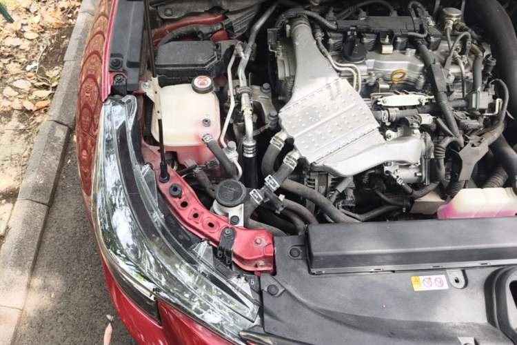 Used Toyota Levin 2019 185T CVT Luxury Edition China VI Standard Engine Bay Right