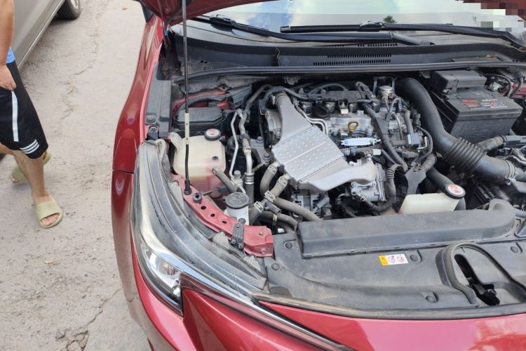 Used Toyota Levin 2019 185T CVT Luxury Edition China VI Standard Engine Bay Right