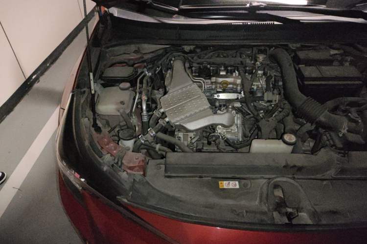 Used Toyota Levin 2019 185T CVT Luxury Edition China VI Standard Engine Bay Right