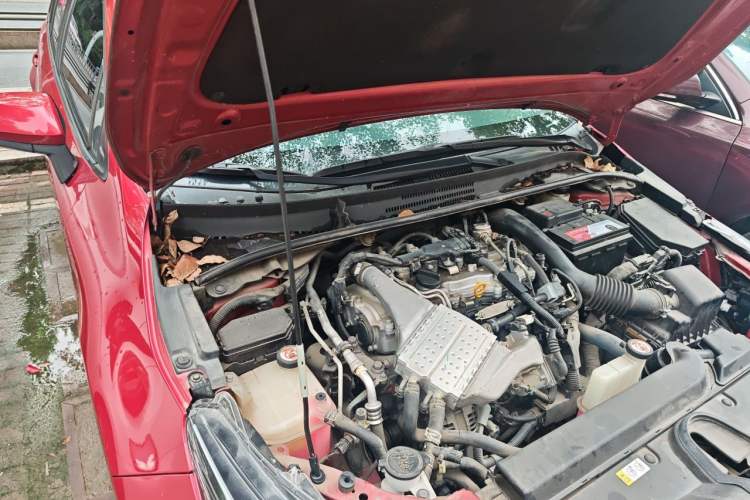 Used Toyota Levin 2019 185T CVT Luxury Edition China VI Standard Engine Bay Right