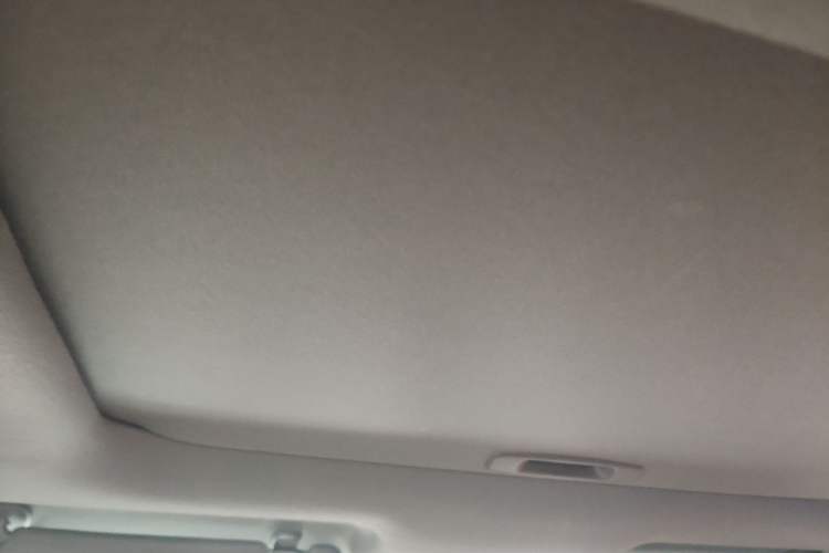 Used Toyota Levin 2019 185T CVT Luxury Edition China V Standard Headliner