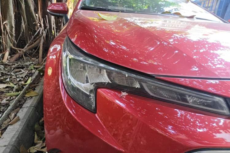Used Toyota Levin 2019 185T CVT Luxury Edition China VI Standard Right Front Headlight
