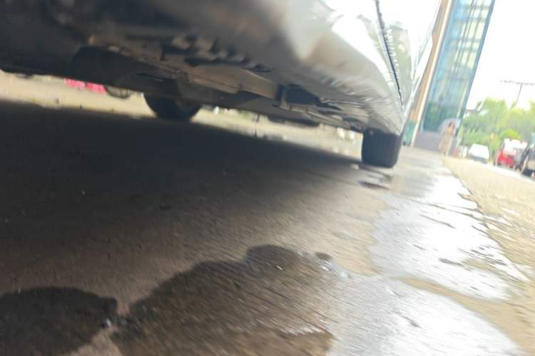 Used Toyota Levin 2019 Dual-Engine 1.8H E-CVT Entry-Level Model China V Standard Chassis Front Left